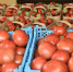 9edbcb4875cf07c6753093d3314bcc17 - Газета Прикубанские огни