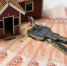 rian_5766050.hr-pic4_zoom-1500x1500-92404-1024x572 - Газета Прикубанские огни