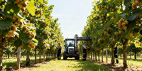 image_03_12_25_01_47 - Газета Прикубанские огни